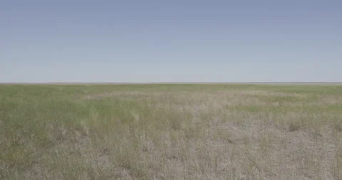 Open Grassland, blue skies, static shot Video stock 332437773