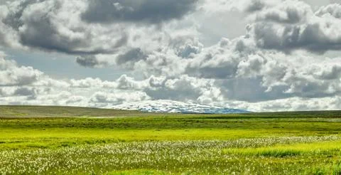 Open grassland with cloudscape and shield volcano in background. Iceland. Stock Photos