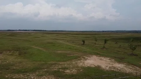 Open grassland with sparse vegetation at The Kesongo mud volcano, Indonesia Stock-Footage 279754772
