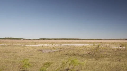 Open grassy field 60p Stock Footage 43217792