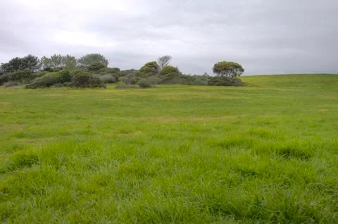 Open grassy meadow Stock Photos