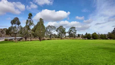 An open grassy reserve lined with eucalyptus trees in a public park in Australia Stock Footage 309257493