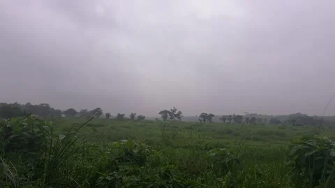 Open Green Grassland Landscape Under Misty Sky in Daylight Stock-Footage 340499204
