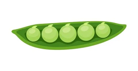 Open green half pea pod with sweet peas vector illustration Stock Illustration