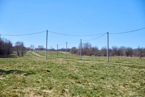Open green meadow with multiple utility poles and overhead power lines unde.. Fotos Stock