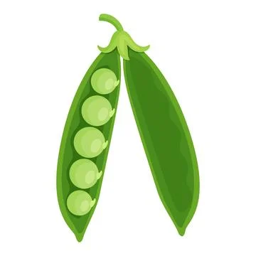 Open green pea pod with two halves and sweet peas vector illustration Stock Illustration