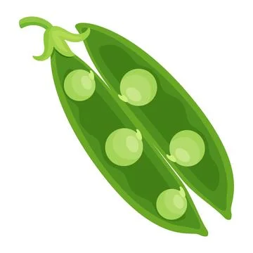 Open green pea pod with two halves and sweet peas vector illustration Stock Illustration