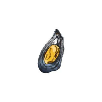 Open half of mussel clam shell with mollusk vintage vector illustration isolated イラスト素材