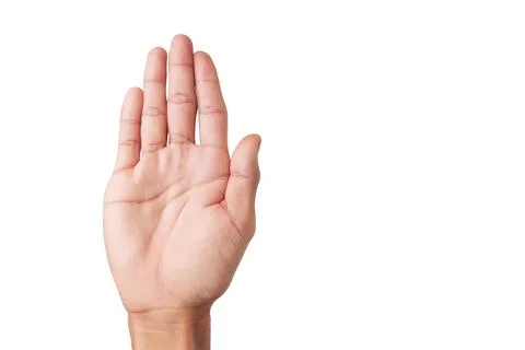 Open hand with five fingers pointing upwards, on an isolated background. Stock Photos