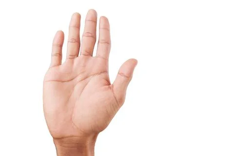 Open hand with five fingers pointing upwards, on an isolated background. Stock Photos