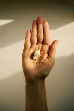 Open hand holding small seashell in sunlight Foto stock