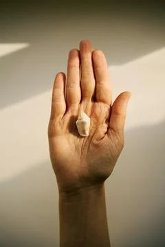 Open hand holding small seashell in sunlight Stock-Fotos