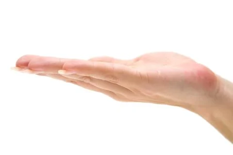 Open Hand Isolated on a White Background Foto stock