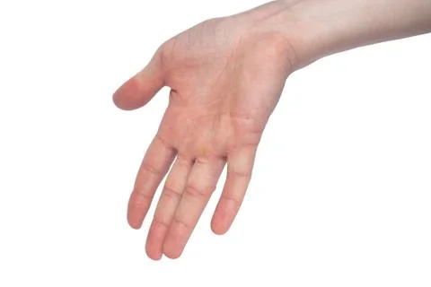 Open hand, multi purpose concept isolated on white background Stock Photos