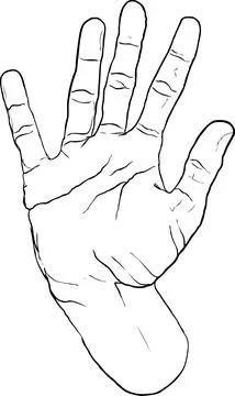 Open Hand Outline Drawing, Five Fingers Spread Wide, Vector Art Stock Illustration
