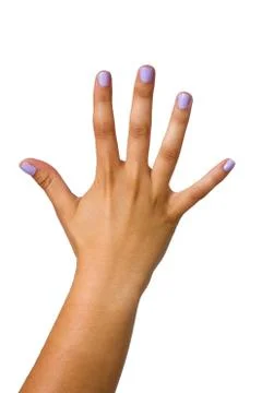 Open hand Stock Photos