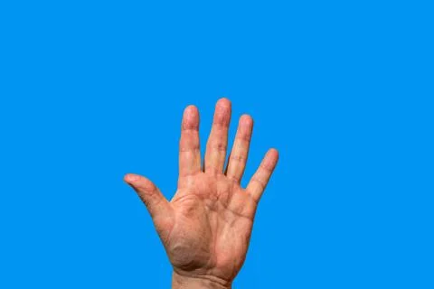 Open hand raised with palm facing forward on blue background Stock Photos