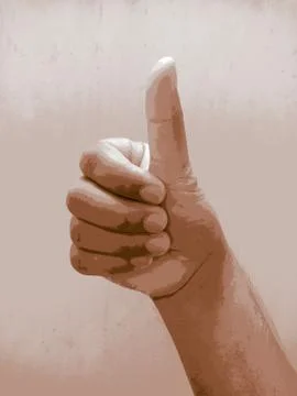 Open hand showing something gesture isolated, Stock Photos