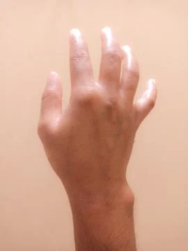 Open hand showing something gesture isolated, Stock Photos