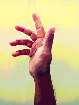 Open hand showing something gesture isolated, Stock Photos