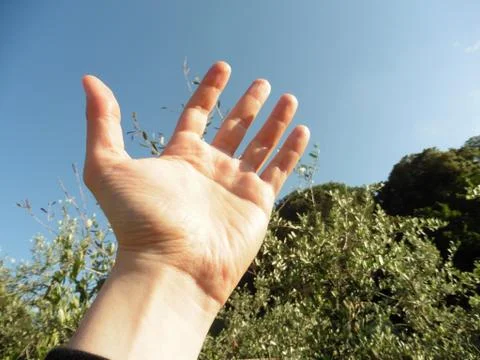 Open hand to the sky 스톡 사진