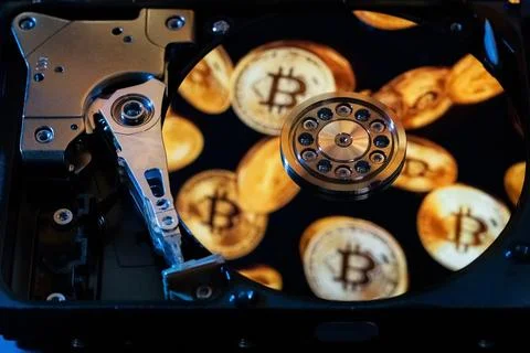 An open hard drive with reflections of gold Bitcoin coins on its surface Stock Photos