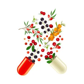 Open Hard-shelled Capsule with Berries as Vitamins and Supplement Vector Illustrazione stock