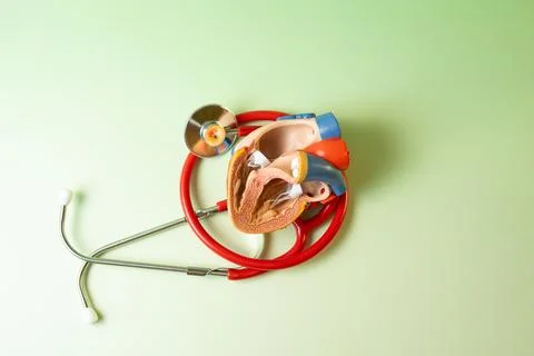 Open heart  Stock Photos