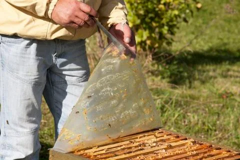 Open hive Stock Photos