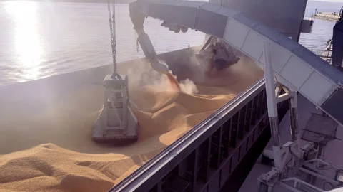 Open hold of a ship is loaded with grain using port crane and a silo belt Stock Footage 275144879