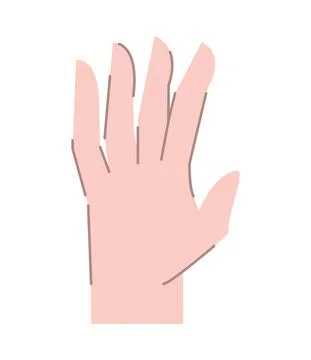 Open human hand Stock Illustration