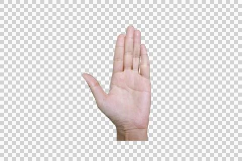 Open Human Hand on Transparent Background with Palm Facing Outward Foto stock