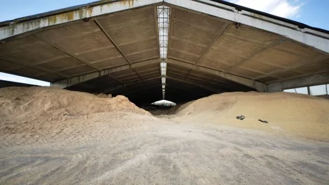 Open industrial barn interior full of dry grain, preparing feed for farm animals Stock Footage 346221702
