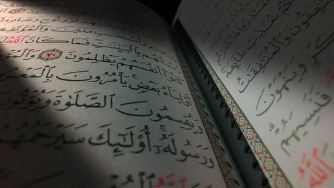 The Open Koran. the text of the Koran. Stock Footage 114576401