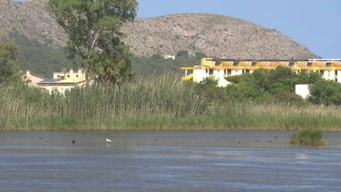 Open Lagoon With Mountain and White Buildings, Maristany, Mallorca Stock Footage 340589633