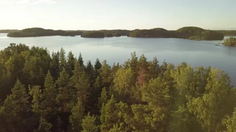 Open lake appearing behind forest canopies Stock Footage 157017529