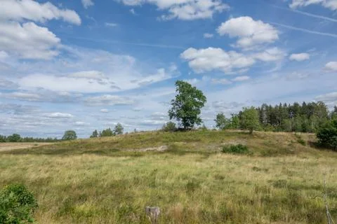 Open landscape with some trees Foto stock