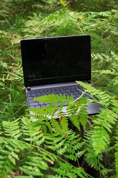 An open laptop with a black, blank screen in the woods Stock Photos