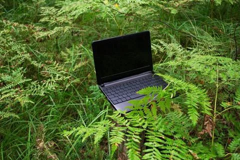 An open laptop with a black, blank screen in the woods Stock Photos