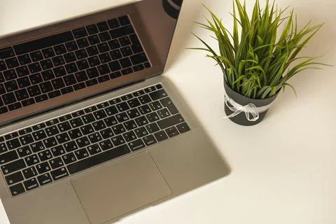 Open laptop on a white background side view, with artificial grass in a pot Stock Photos