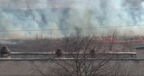 Open large fire in the field behind the buildings, large fire in the field, b 動画素材 311991624