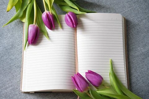 An open lined notebook decorated with fresh purple tulips Stock Photos