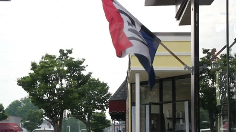 Open logo on waving flag Stock Footage 5295636