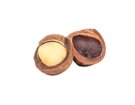 Open macadamia nut Stock Photos