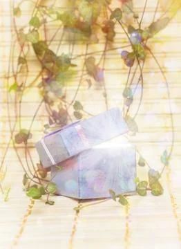 Open magic gift box Stock Photos