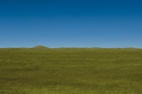 Open meadow Foto stock