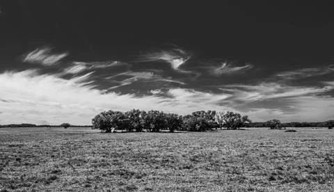 Open meadow in the winter Stock Photos