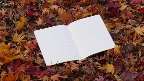 Open memo book under maple tree in autumn 库存影片 162638522