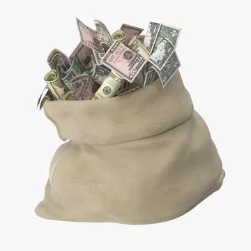 Open Money Bag 02 3D Model
