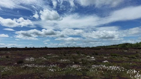 Open Natural Landscape Under Dramatic Cloudy Sky Vidéo 335622036